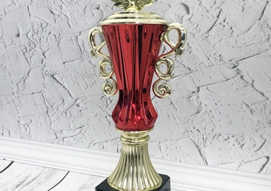 mana.spb.ru-cup
